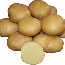 Картофель Галла, 1 кг