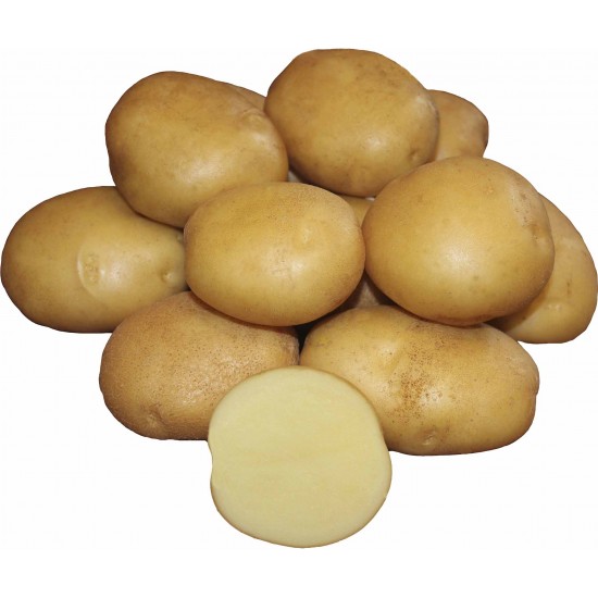 Картофель Галла, 1 кг